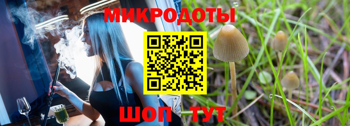 Галлюциногенные грибы мицелий Мытищи