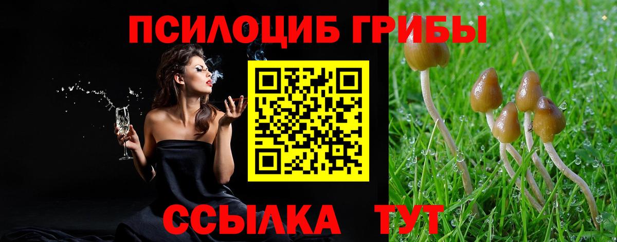 Мытищи  Псилоцибиновые грибы ЛСД  где купить наркотик  Вход с VPN 