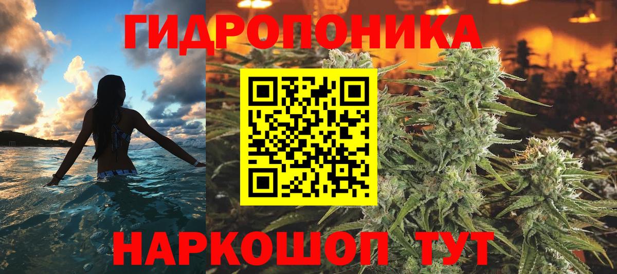 Канабис сатива Мытищи